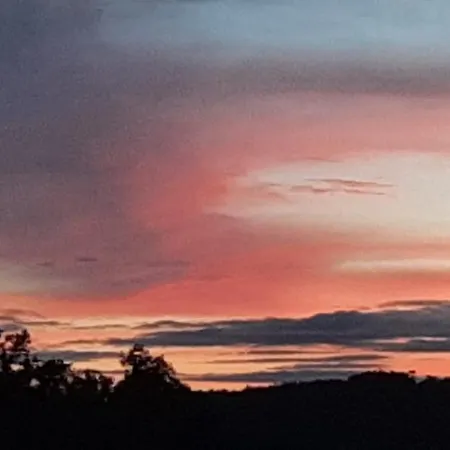 Quinta Inge * Paio Mendes