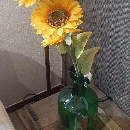 Feriehus Quinta Inge *