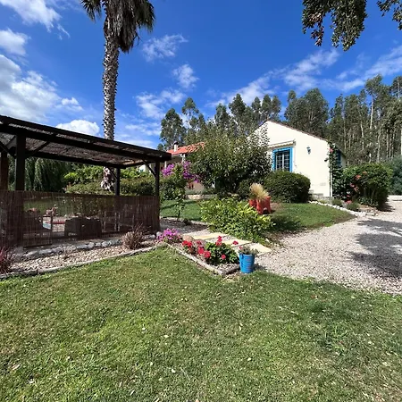 Quinta Inge Casa de Férias Paio Mendes