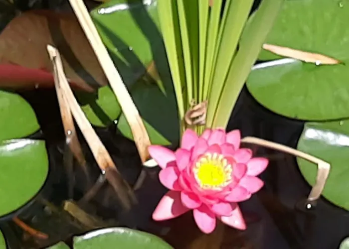 Quinta Inge * Paio Mendes