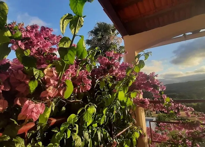 Quinta Inge Vakantiehuis *